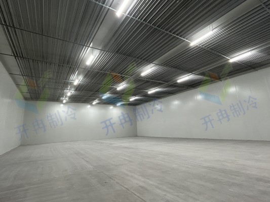 2025年食品冷凍庫設(shè)計(jì)建造方案_上海開冉制冷