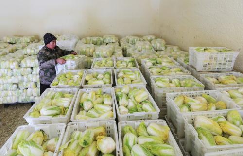 1000噸娃娃菜保鮮庫(kù)