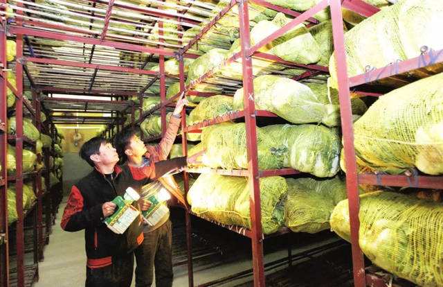 蔬菜保鮮庫(kù)