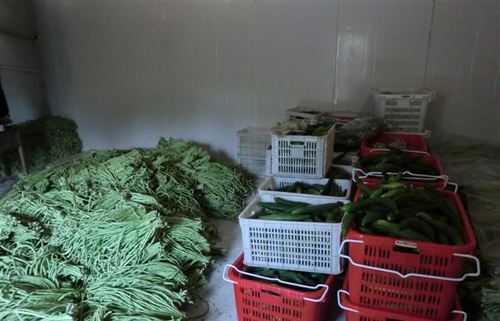 蔬菜保鮮庫(kù)