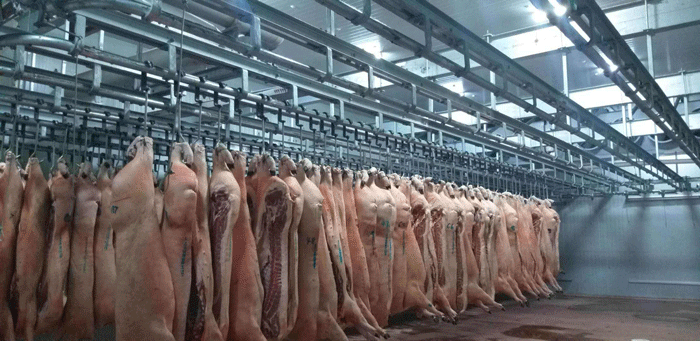 低溫速凍肉類(lèi)冷庫(kù)