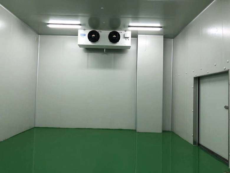 大型生鮮配送冷庫選址及（水產(chǎn)冷凍庫）設計方案報價