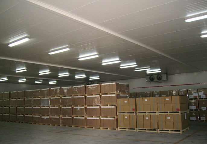 醫(yī)藥冷庫(kù)設(shè)計(jì)