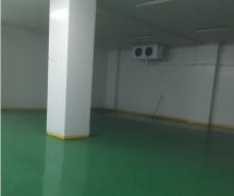 建一個100立方米的保鮮食品冷藏冷庫造價？