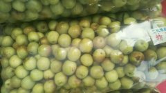 凍庫設(shè)計(jì)，冬棗保鮮庫多少錢？