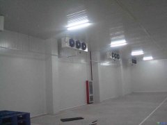 GSP醫(yī)療冷庫2-8℃冷庫建設報價，案例