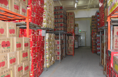 建造一個(gè)獼猴桃冷庫需要投資多少錢？