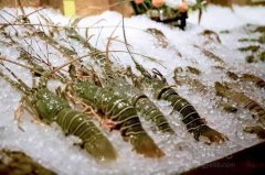 海鮮保存溫度？海鮮冷凍庫價(jià)格多少錢