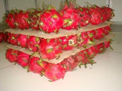 做一個(gè)水果氣調(diào)保鮮庫安裝大概需要多少錢？