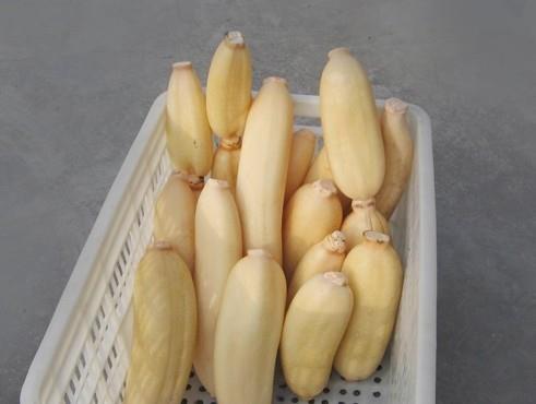 1500立方蓮藕冷庫建造，蓮藕保鮮庫造價(jià)怎么算